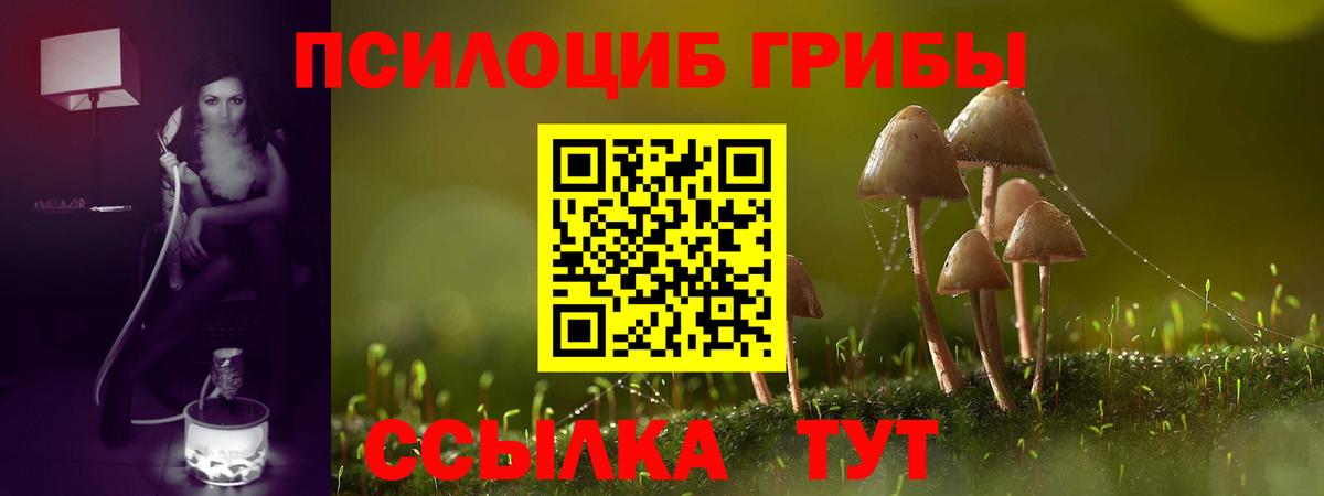 Псилоцибиновые грибы прущие грибы Советская Гавань