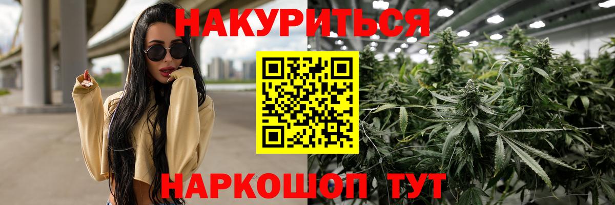 Конопля семена Советская Гавань